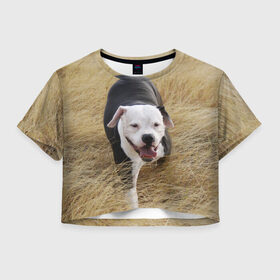 Женская футболка 3D укороченная с принтом Пит-буль на траве , 100% полиэстер | круглая горловина, длина футболки до линии талии, рукава с отворотами | амстафф | буль | пес | песик | питбули | питбуль | собака | собаки | стафф | терьер