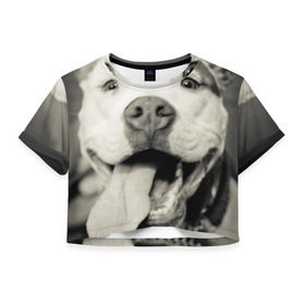 Женская футболка 3D укороченная с принтом Пит-буль , 100% полиэстер | круглая горловина, длина футболки до линии талии, рукава с отворотами | амстафф | буль | пес | песик | питбули | питбуль | собака | собаки | стафф | терьер