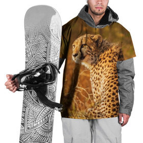 Накидка на куртку 3D с принтом Дикая кошка , 100% полиэстер |  | взгляд | гепард | дикая кошка | кошка | охота | сафари | хищник