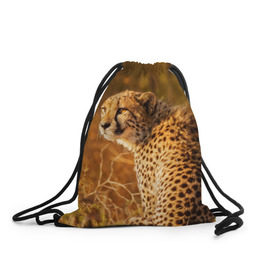 Рюкзак-мешок 3D с принтом Дикая кошка , 100% полиэстер | плотность ткани — 200 г/м2, размер — 35 х 45 см; лямки — толстые шнурки, застежка на шнуровке, без карманов и подкладки | взгляд | гепард | дикая кошка | кошка | охота | сафари | хищник