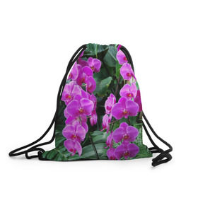 Рюкзак-мешок 3D с принтом Орхидея , 100% полиэстер | плотность ткани — 200 г/м2, размер — 35 х 45 см; лямки — толстые шнурки, застежка на шнуровке, без карманов и подкладки | Тематика изображения на принте: 