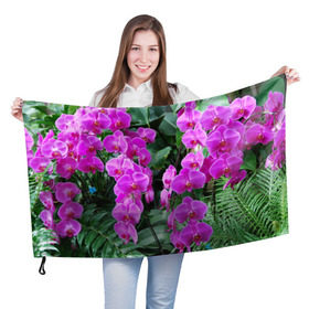 Флаг 3D с принтом Орхидея , 100% полиэстер | плотность ткани — 95 г/м2, размер — 67 х 109 см. Принт наносится с одной стороны | 