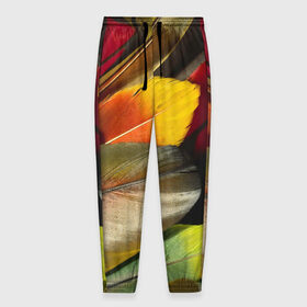 Мужские брюки 3D с принтом Перья , 100% полиэстер | манжеты по низу, эластичный пояс регулируется шнурком, по бокам два кармана без застежек, внутренняя часть кармана из мелкой сетки | новый | перья | рисунок | текстура | узоры | цветной