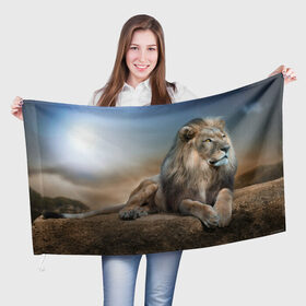 Флаг 3D с принтом Лев , 100% полиэстер | плотность ткани — 95 г/м2, размер — 67 х 109 см. Принт наносится с одной стороны | животные | лев | природа | пустыня
