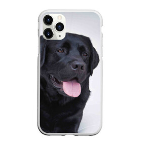 Чехол для iPhone 11 Pro Max матовый с принтом Черный лабрадор , Силикон |  | большая | золотистый | лабрадор | лабрадоры | палевый | песик | ретривер | собака | собаки