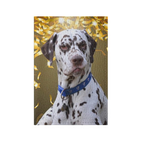 Обложка для паспорта матовая кожа с принтом Скептический далматин , натуральная матовая кожа | размер 19,3 х 13,7 см; прозрачные пластиковые крепления | далматин | далматинец | песик | пятнистый | собака | собаки
