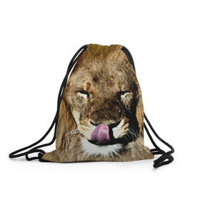 Рюкзак-мешок 3D с принтом Взгляд , 100% полиэстер | плотность ткани — 200 г/м2, размер — 35 х 45 см; лямки — толстые шнурки, застежка на шнуровке, без карманов и подкладки | взгляд | животные | кот | лев
