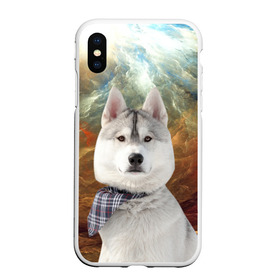 Чехол для iPhone XS Max матовый с принтом Хаски , Силикон | Область печати: задняя сторона чехла, без боковых панелей | маламут | песик | собака | собаки | собачка | хаски