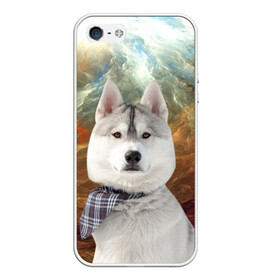 Чехол для iPhone 5/5S матовый с принтом Хаски , Силикон | Область печати: задняя сторона чехла, без боковых панелей | маламут | песик | собака | собаки | собачка | хаски