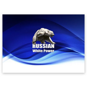 Поздравительная открытка с принтом Russian white power , 100% бумага | плотность бумаги 280 г/м2, матовая, на обратной стороне линовка и место для марки
 | медведь | патриот | русский | русы | русь | сила | славяне