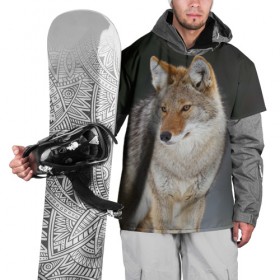 Накидка на куртку 3D с принтом Волк , 100% полиэстер |  | хищник