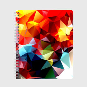 Тетрадь с принтом Polygon , 100% бумага | 48 листов, плотность листов — 60 г/м2, плотность картонной обложки — 250 г/м2. Листы скреплены сбоку удобной пружинной спиралью. Уголки страниц и обложки скругленные. Цвет линий — светло-серый
 | геометрия | полигоны | разноцветный | яркий