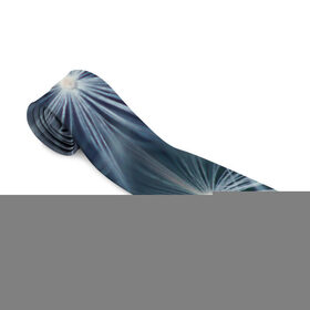 Галстук 3D с принтом Одуванчик , 100% полиэстер | Длина 148 см; Плотность 150-180 г/м2 | Тематика изображения на принте: одуванчик | цветок