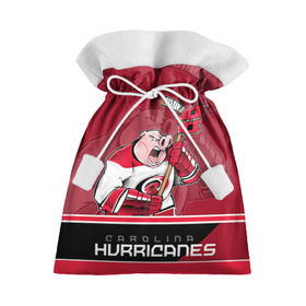 Подарочный 3D мешок с принтом Carolina Hurricanes , 100% полиэстер | Размер: 29*39 см | carolina hurricanes | nhl | stanley cup | каролина | каролина харрикейнз | кубок стенли | кубок стэнли | нхл | хоккей | хоккейный клуб | хурикэйнс
