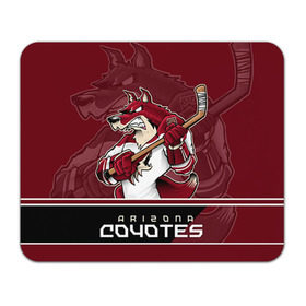 Коврик прямоугольный с принтом Arizona Coyotes , натуральный каучук | размер 230 х 185 мм; запечатка лицевой стороны | arizona coyotes | nhl | stanley cup | аризона койотис | аризона койоты | кубок стенли | кубок стэнли | нхл | хоккей | хоккейный клуб