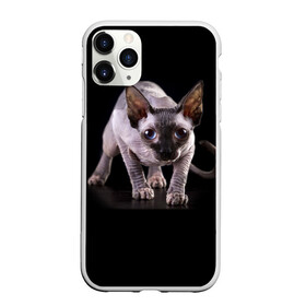 Чехол для iPhone 11 Pro матовый с принтом Сфинкс , Силикон |  | Тематика изображения на принте: взгляд | глаза | голова животного | киска | кот | котёнок | кошка | прикольные картинки