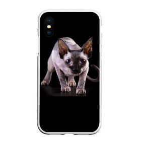Чехол для iPhone XS Max матовый с принтом Сфинкс , Силикон | Область печати: задняя сторона чехла, без боковых панелей | взгляд | глаза | голова животного | киска | кот | котёнок | кошка | прикольные картинки