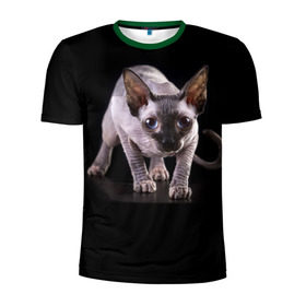 Мужская футболка 3D спортивная с принтом Сфинкс , 100% полиэстер с улучшенными характеристиками | приталенный силуэт, круглая горловина, широкие плечи, сужается к линии бедра | взгляд | глаза | голова животного | киска | кот | котёнок | кошка | прикольные картинки