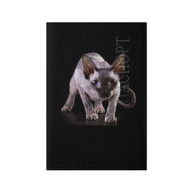 Обложка для паспорта матовая кожа с принтом Сфинкс , натуральная матовая кожа | размер 19,3 х 13,7 см; прозрачные пластиковые крепления | взгляд | глаза | голова животного | киска | кот | котёнок | кошка | прикольные картинки