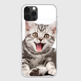 Чехол для iPhone 12 Pro Max с принтом Милашка , Силикон |  | Тематика изображения на принте: кот | котенок | кошка