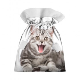 Подарочный 3D мешок с принтом Милашка , 100% полиэстер | Размер: 29*39 см | кот | котенок | кошка