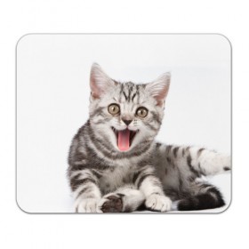 Коврик прямоугольный с принтом Милашка , натуральный каучук | размер 230 х 185 мм; запечатка лицевой стороны | Тематика изображения на принте: кот | котенок | кошка