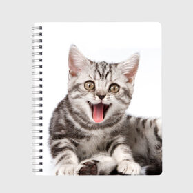 Тетрадь с принтом Милашка , 100% бумага | 48 листов, плотность листов — 60 г/м2, плотность картонной обложки — 250 г/м2. Листы скреплены сбоку удобной пружинной спиралью. Уголки страниц и обложки скругленные. Цвет линий — светло-серый
 | Тематика изображения на принте: кот | котенок | кошка