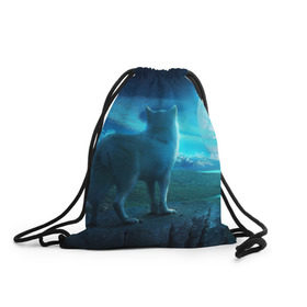 Рюкзак-мешок 3D с принтом Blue Moon , 100% полиэстер | плотность ткани — 200 г/м2, размер — 35 х 45 см; лямки — толстые шнурки, застежка на шнуровке, без карманов и подкладки | пейзаж | фантастический