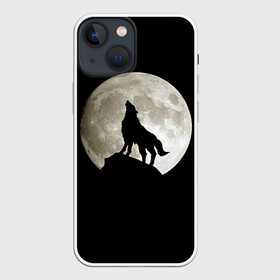 Чехол для iPhone 13 mini с принтом Moon ,  |  | зверь | луна