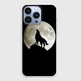 Чехол для iPhone 13 Pro с принтом Moon ,  |  | Тематика изображения на принте: зверь | луна