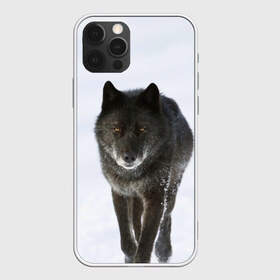 Чехол для iPhone 12 Pro Max с принтом Черный волк , Силикон |  | дикий | зима