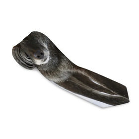 Галстук 3D с принтом Черный волк , 100% полиэстер | Длина 148 см; Плотность 150-180 г/м2 | Тематика изображения на принте: дикий | зима