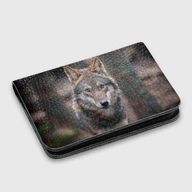 Картхолдер с принтом с принтом Wolf , натуральная матовая кожа | размер 7,3 х 10 см; кардхолдер имеет 4 кармана для карт; | зверь | лес