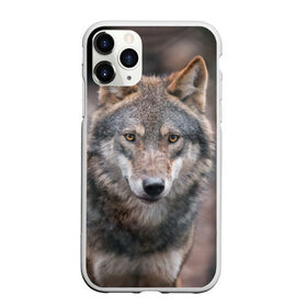 Чехол для iPhone 11 Pro Max матовый с принтом Wolf , Силикон |  | Тематика изображения на принте: зверь | лес
