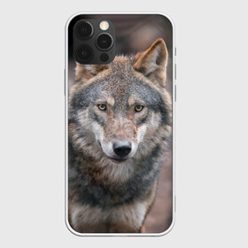 Чехол для iPhone 12 Pro Max с принтом Wolf , Силикон |  | зверь | лес