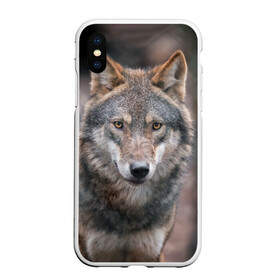 Чехол для iPhone XS Max матовый с принтом Wolf , Силикон | Область печати: задняя сторона чехла, без боковых панелей | зверь | лес