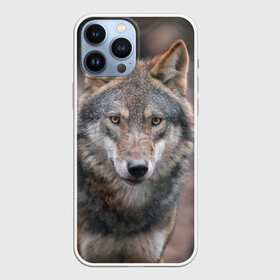 Чехол для iPhone 13 Pro Max с принтом Wolf ,  |  | Тематика изображения на принте: зверь | лес