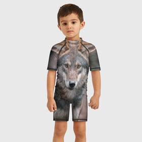 Детский купальный костюм 3D с принтом Wolf , Полиэстер 85%, Спандекс 15% | застежка на молнии на спине | зверь | лес