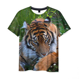 Мужская футболка 3D с принтом Скромный тигр , 100% полиэфир | прямой крой, круглый вырез горловины, длина до линии бедер | Тематика изображения на принте: дикие | лев | милые | новинки | орел | популярные | прикольные | природа | птицы | тигр | яркие