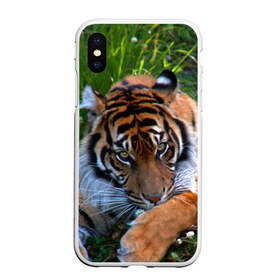 Чехол для iPhone XS Max матовый с принтом Скромный тигр , Силикон | Область печати: задняя сторона чехла, без боковых панелей | дикие | лев | милые | новинки | орел | популярные | прикольные | природа | птицы | тигр | яркие