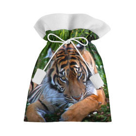 Подарочный 3D мешок с принтом Скромный тигр , 100% полиэстер | Размер: 29*39 см | дикие | лев | милые | новинки | орел | популярные | прикольные | природа | птицы | тигр | яркие