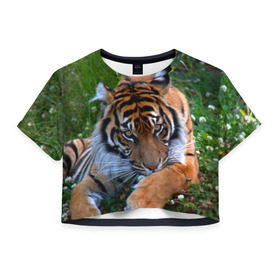Женская футболка 3D укороченная с принтом Скромный тигр , 100% полиэстер | круглая горловина, длина футболки до линии талии, рукава с отворотами | Тематика изображения на принте: дикие | лев | милые | новинки | орел | популярные | прикольные | природа | птицы | тигр | яркие