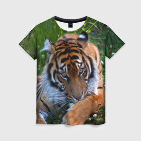 Женская футболка 3D с принтом Скромный тигр , 100% полиэфир ( синтетическое хлопкоподобное полотно) | прямой крой, круглый вырез горловины, длина до линии бедер | Тематика изображения на принте: дикие | лев | милые | новинки | орел | популярные | прикольные | природа | птицы | тигр | яркие