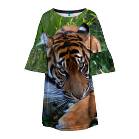 Детское платье 3D с принтом Скромный тигр , 100% полиэстер | прямой силуэт, чуть расширенный к низу. Круглая горловина, на рукавах — воланы | дикие | лев | милые | новинки | орел | популярные | прикольные | природа | птицы | тигр | яркие