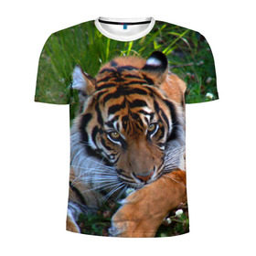 Мужская футболка 3D спортивная с принтом Скромный тигр , 100% полиэстер с улучшенными характеристиками | приталенный силуэт, круглая горловина, широкие плечи, сужается к линии бедра | Тематика изображения на принте: дикие | лев | милые | новинки | орел | популярные | прикольные | природа | птицы | тигр | яркие