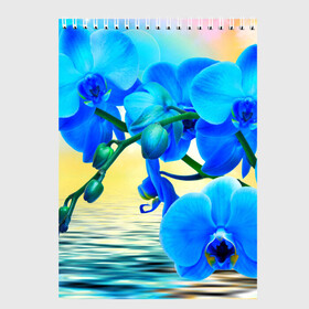 Скетчбук с принтом Орхидеи , 100% бумага
 | 48 листов, плотность листов — 100 г/м2, плотность картонной обложки — 250 г/м2. Листы скреплены сверху удобной пружинной спиралью | Тематика изображения на принте: орхидея | природа | цветы