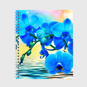 Тетрадь с принтом Орхидеи , 100% бумага | 48 листов, плотность листов — 60 г/м2, плотность картонной обложки — 250 г/м2. Листы скреплены сбоку удобной пружинной спиралью. Уголки страниц и обложки скругленные. Цвет линий — светло-серый
 | орхидея | природа | цветы