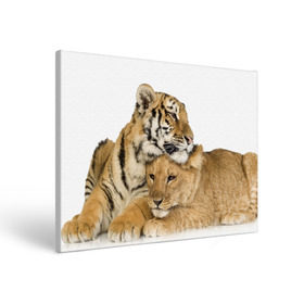 Холст прямоугольный с принтом Тигр и львица , 100% ПВХ |  | Тематика изображения на принте: дикие | милые | природа | тигр | яркие