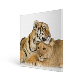 Холст квадратный с принтом Тигр и львица , 100% ПВХ |  | Тематика изображения на принте: дикие | милые | природа | тигр | яркие