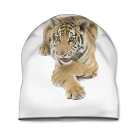 Шапка 3D с принтом Ласковый тигренок , 100% полиэстер | универсальный размер, печать по всей поверхности изделия | дикие | милые | природа | тигр | яркие